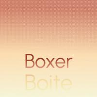 Boxer Boite