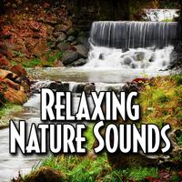 Relaxing Nature Sounds