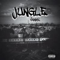 Jungle