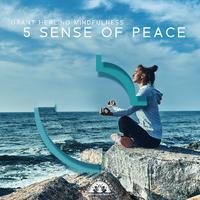 Grant Healing Mindfulness (5 Sense of Peace, Benefits of Meditation 2020, Boost Your Aura)