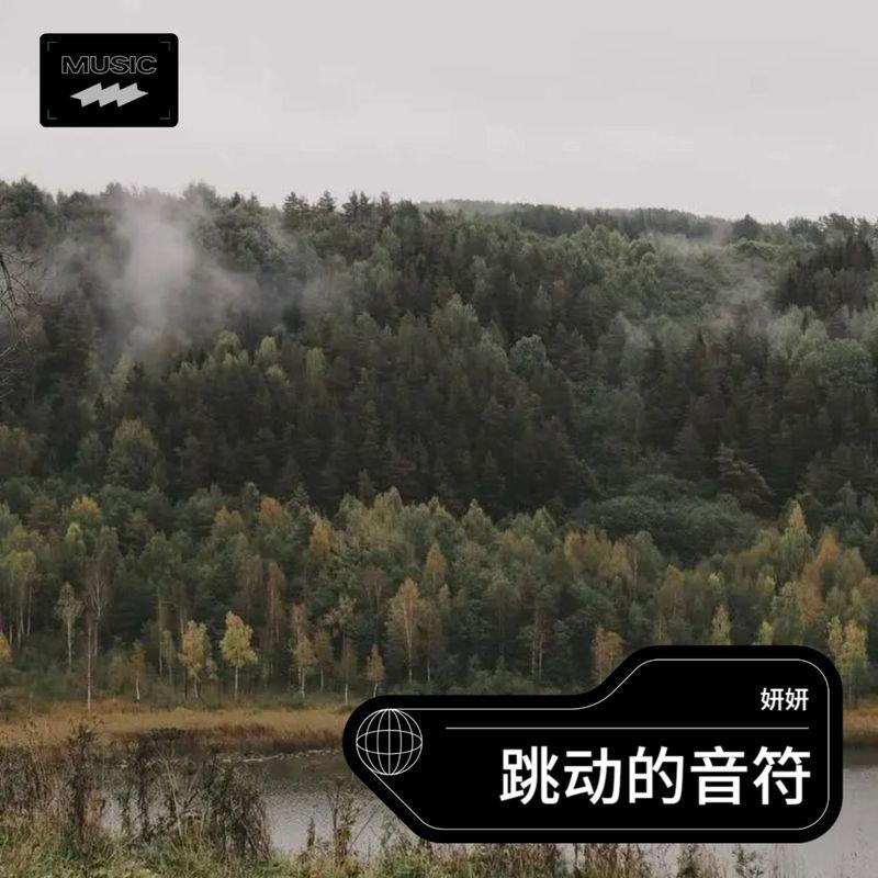 最美的伤口封面