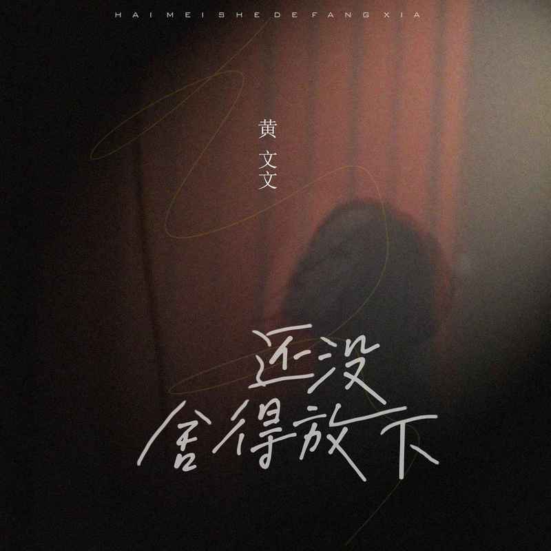 还没舍得放下 (伴奏)封面