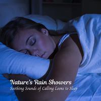 Nature's Rain Showers: Soothing Sounds of Calling Loons to Sleep