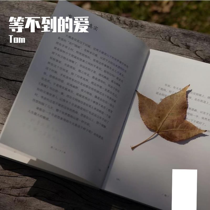 等不到的爱-樊凡#1qBye - Tom封面