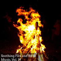 Soothing Fire and Birds Music, Vol. 19