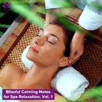 Blissful Calming Notes for Spa Relaxation, Vol. 1