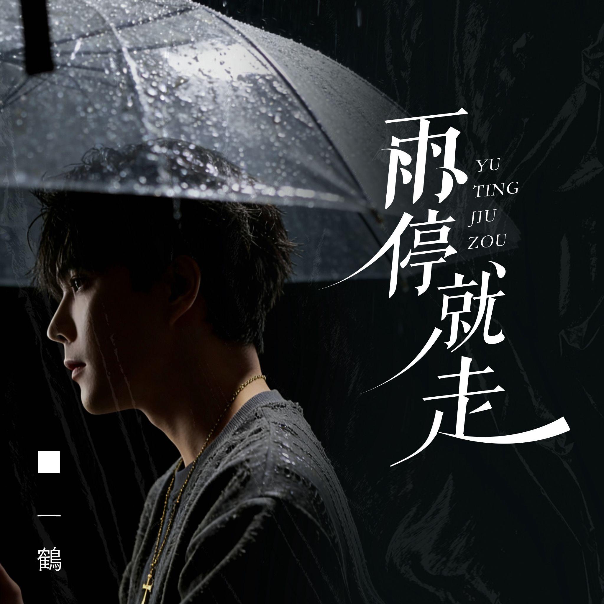 雨停就走封面