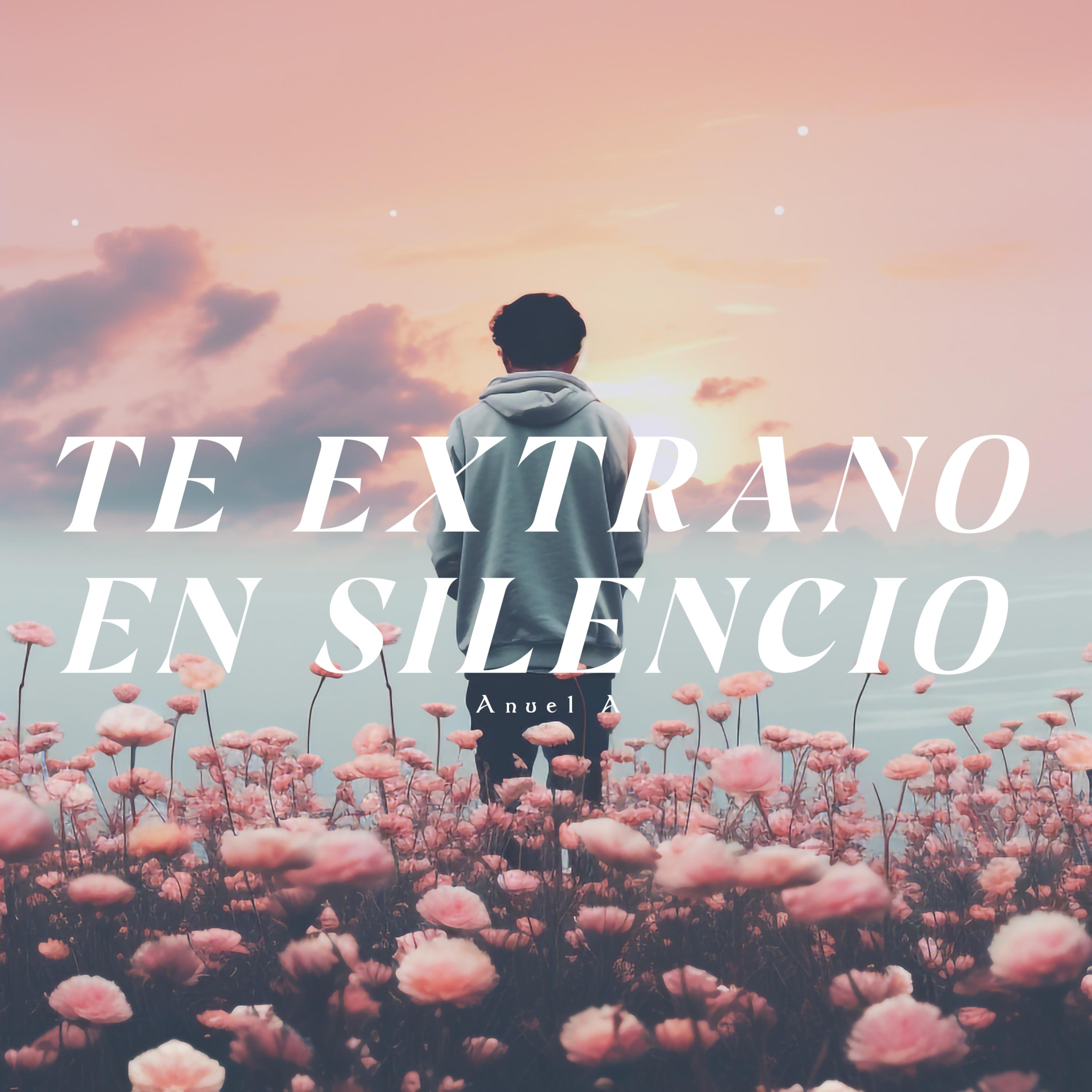 Te Extrano en Silencio