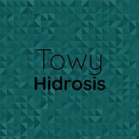 Towy Hidrosis