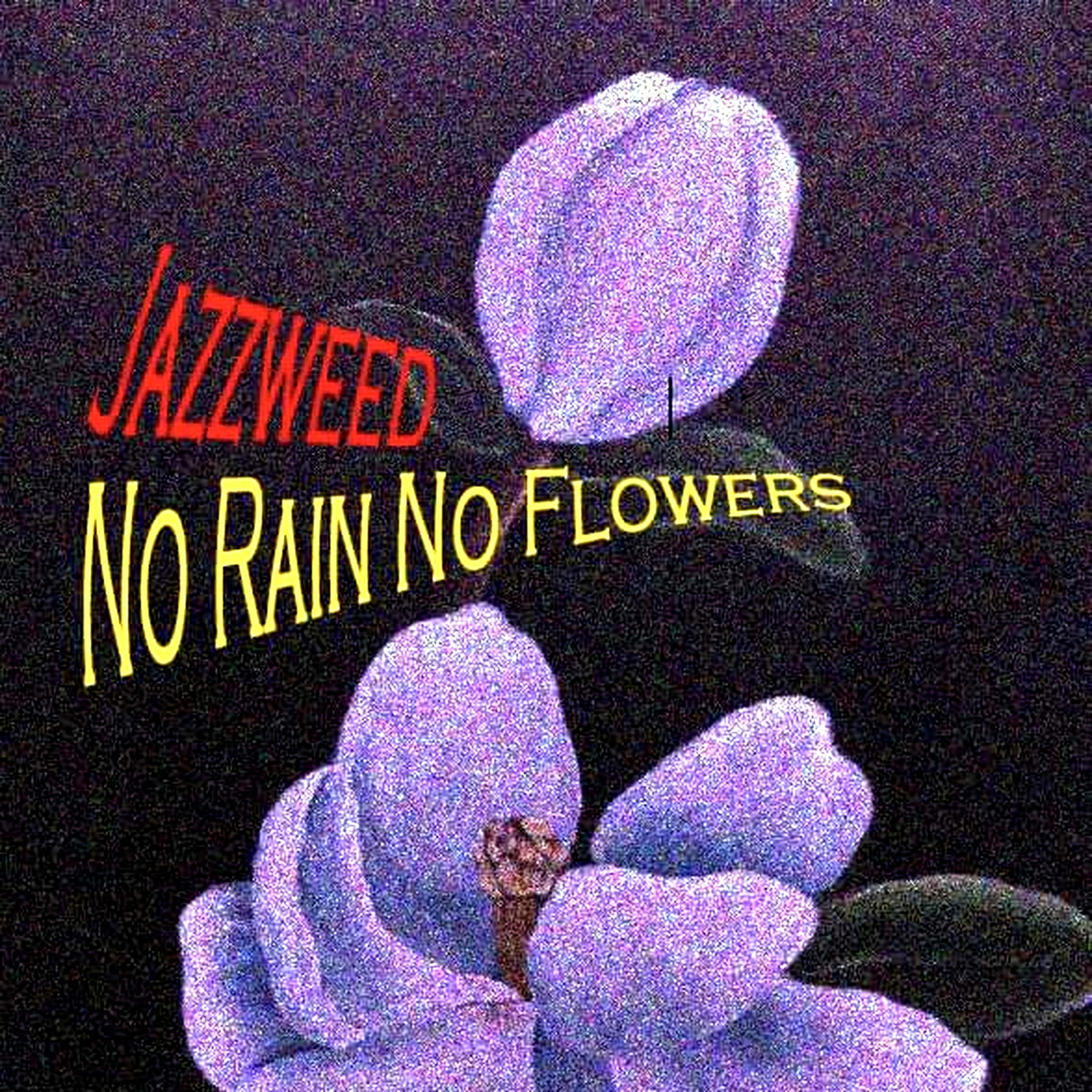 No Rain No Flowers封面