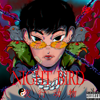 Night Bird (夜行动物)