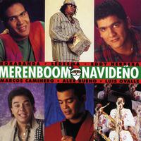 Merenboom Navideño