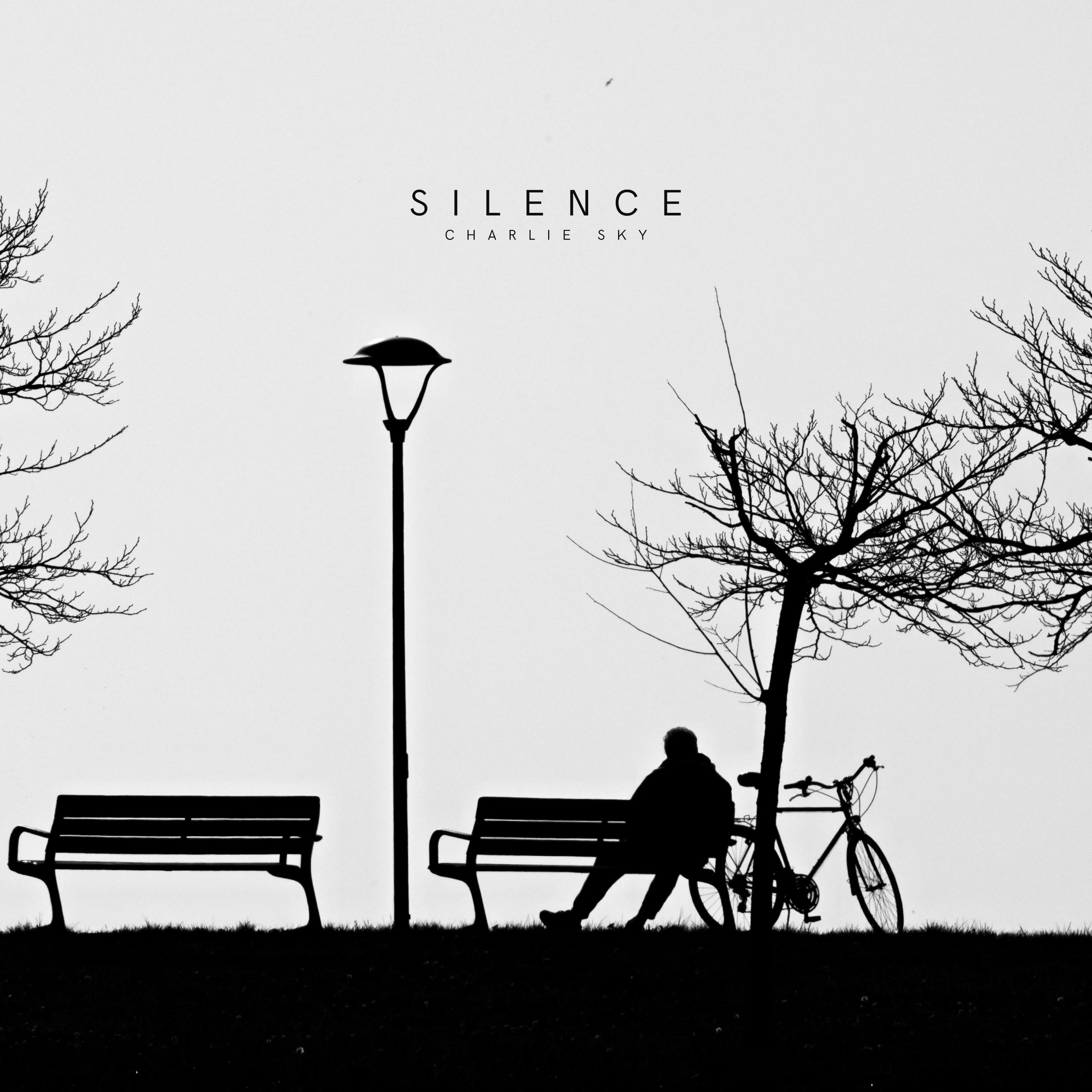 Graceful Silence