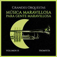 Grandes Orquestas: Música Maravillosa para Gente Maravillosa (Volumen 15)