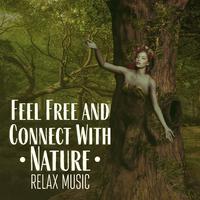 Feel Free and Connect With Nature Relax Music With the Sounds of Forest Forget About Worries