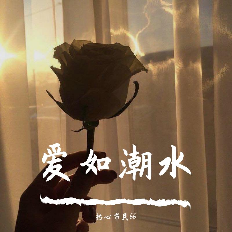 爱人错过（翻自 告五人）封面