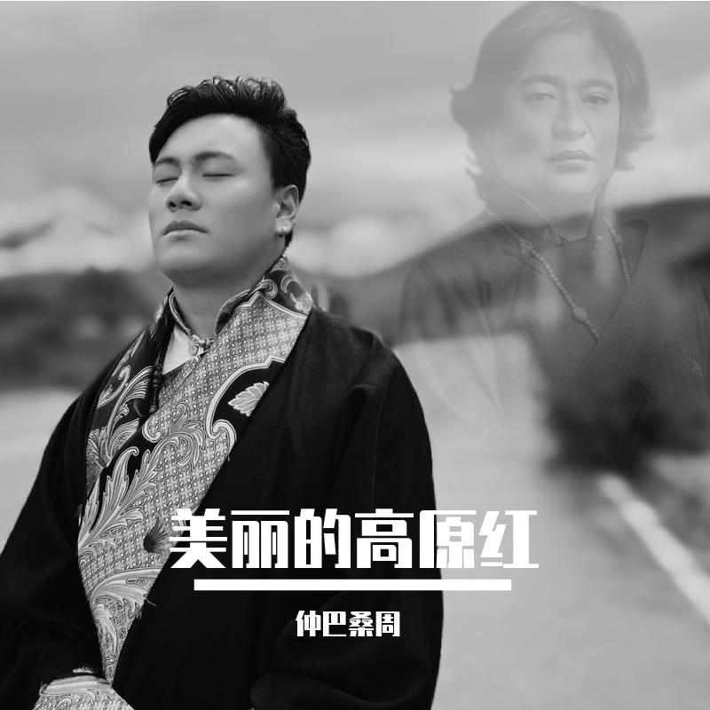 美丽的高原红封面