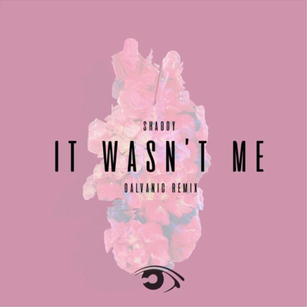 It Wasn't Me (Galvanic Remix)