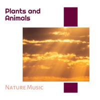 Plants and Animals - Nature Music