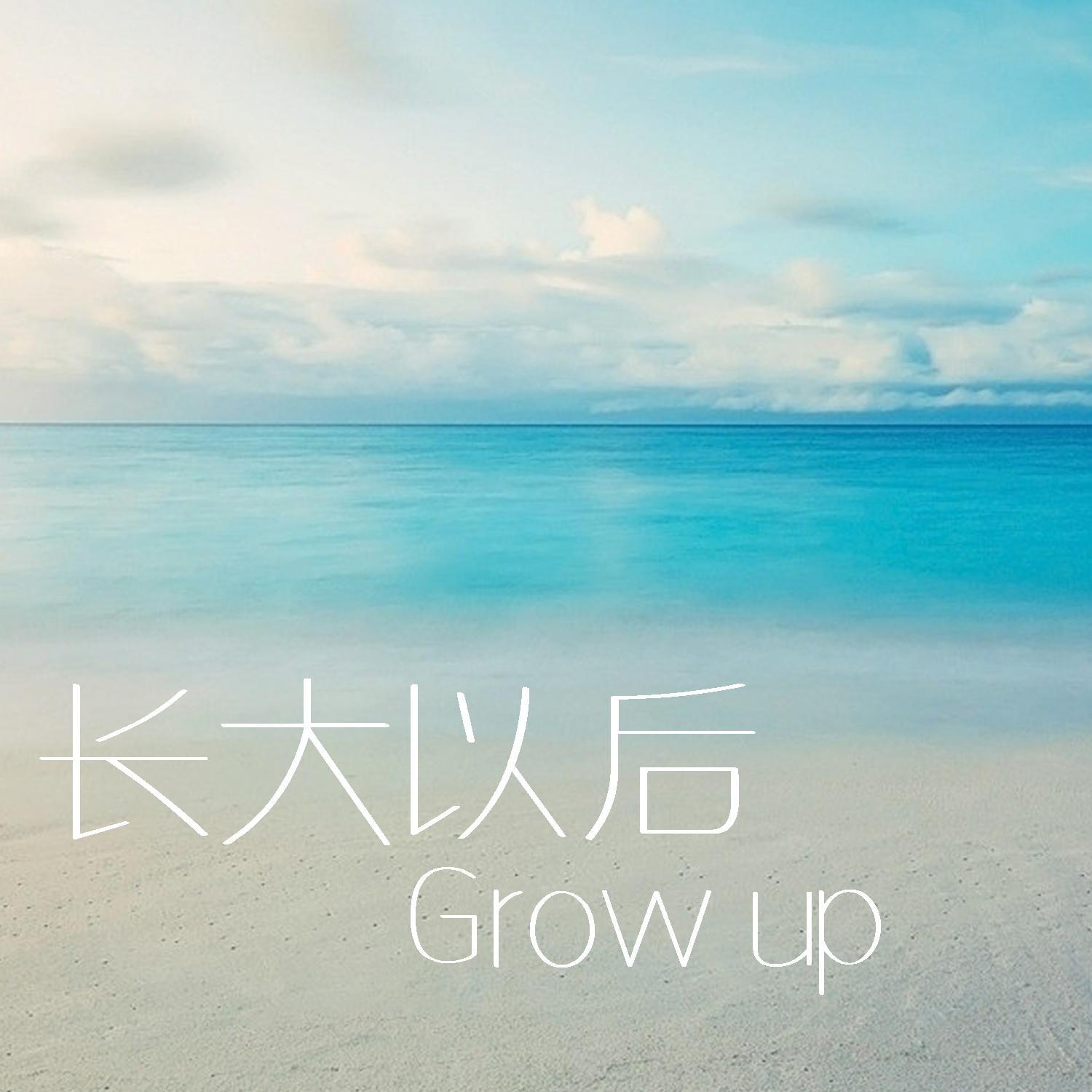 恒星流星封面