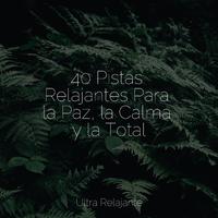 40 Pistas Relajantes Para la Paz, la Calma y la Total