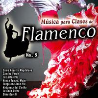 Música para Clases de Flamenco Vol. 5