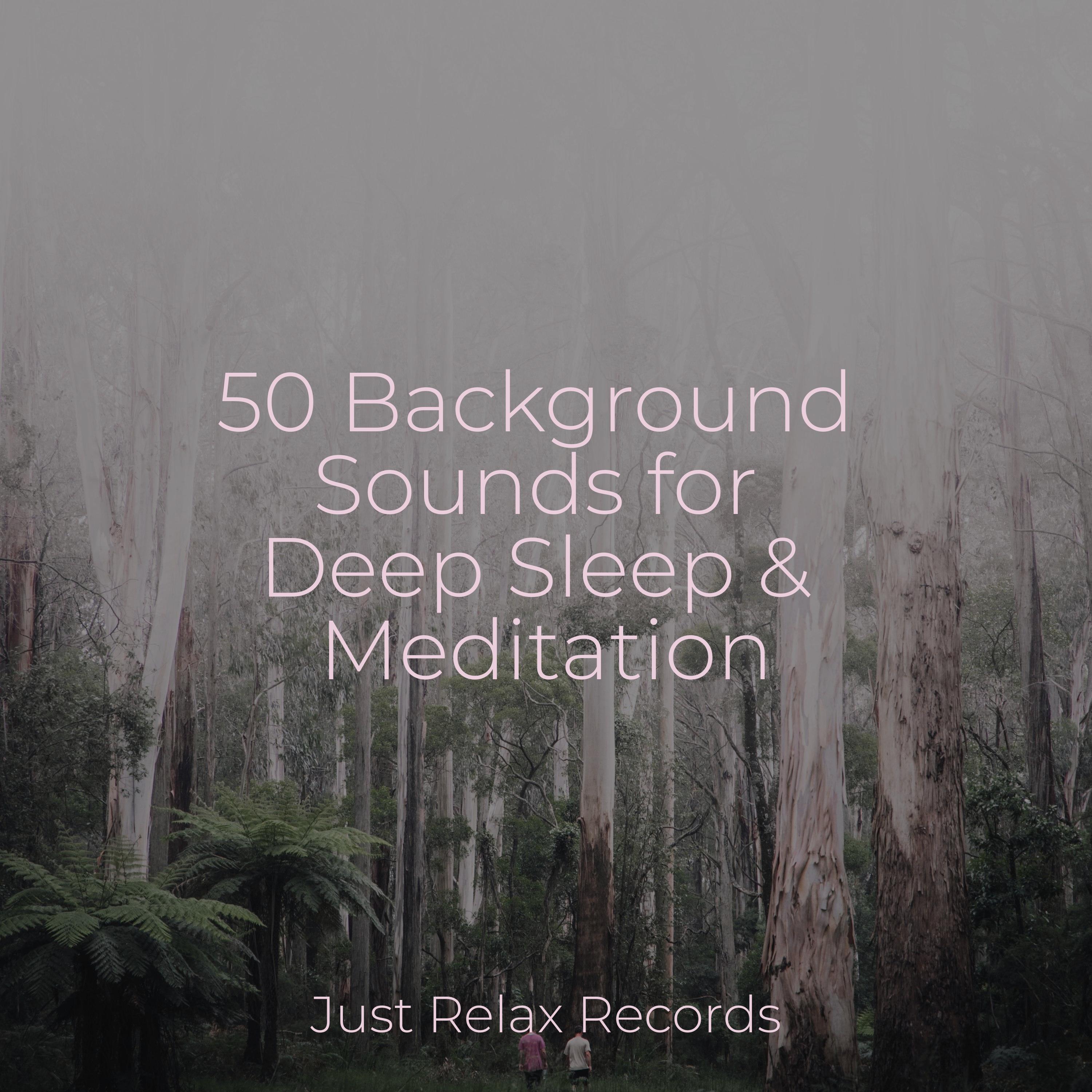 Embrace the Rhythm Shakuhachi Sakano/Meditation Relaxation Club/Rest