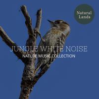 Jungle White Noise - Nature Music Collection