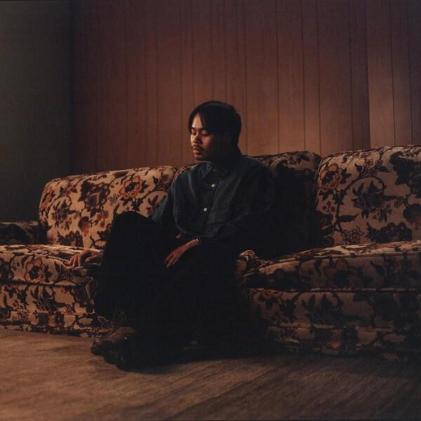 ALL MY PLANTS ARE DYING