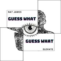 Guess What (feat. Nat James)