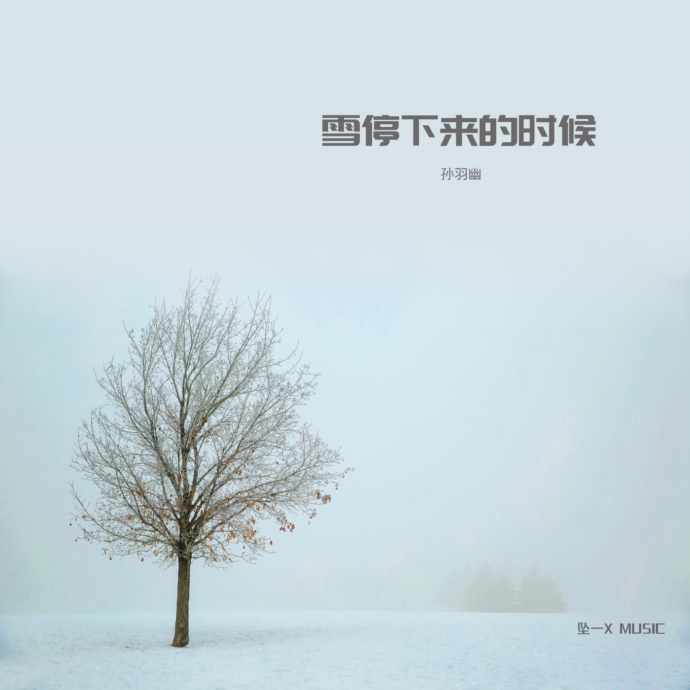 雪停下来的时候（伴奏）封面