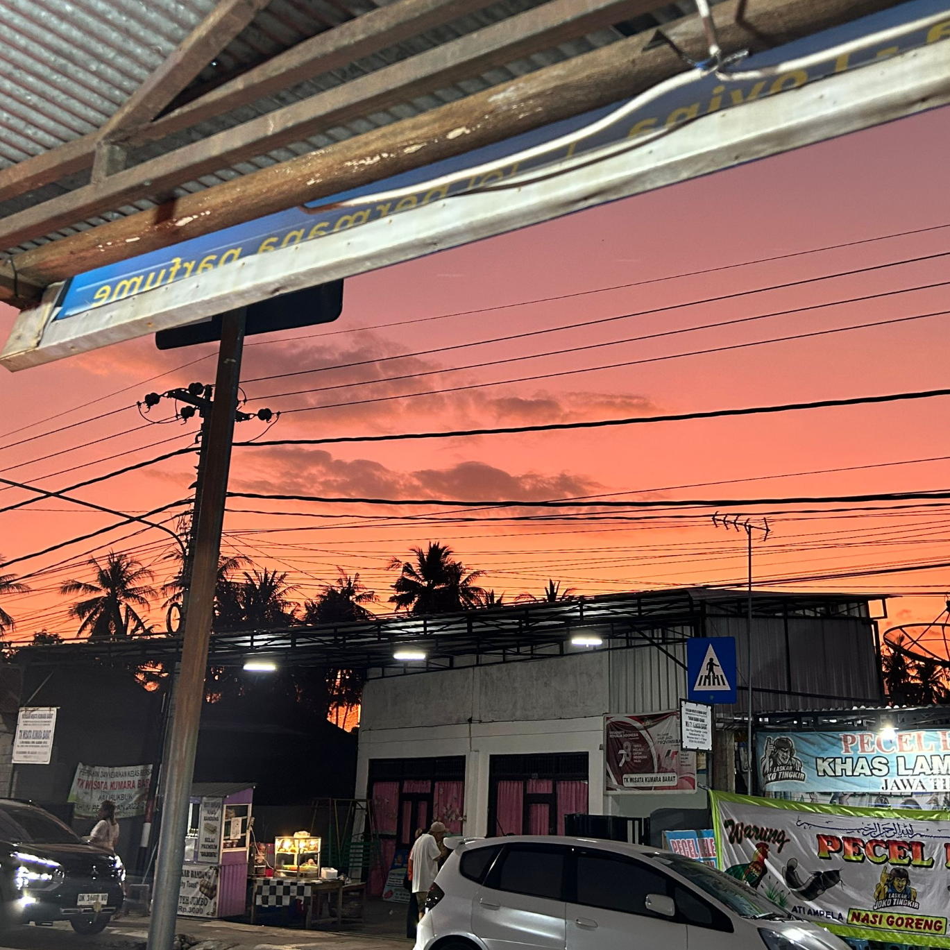 大笨钟封面