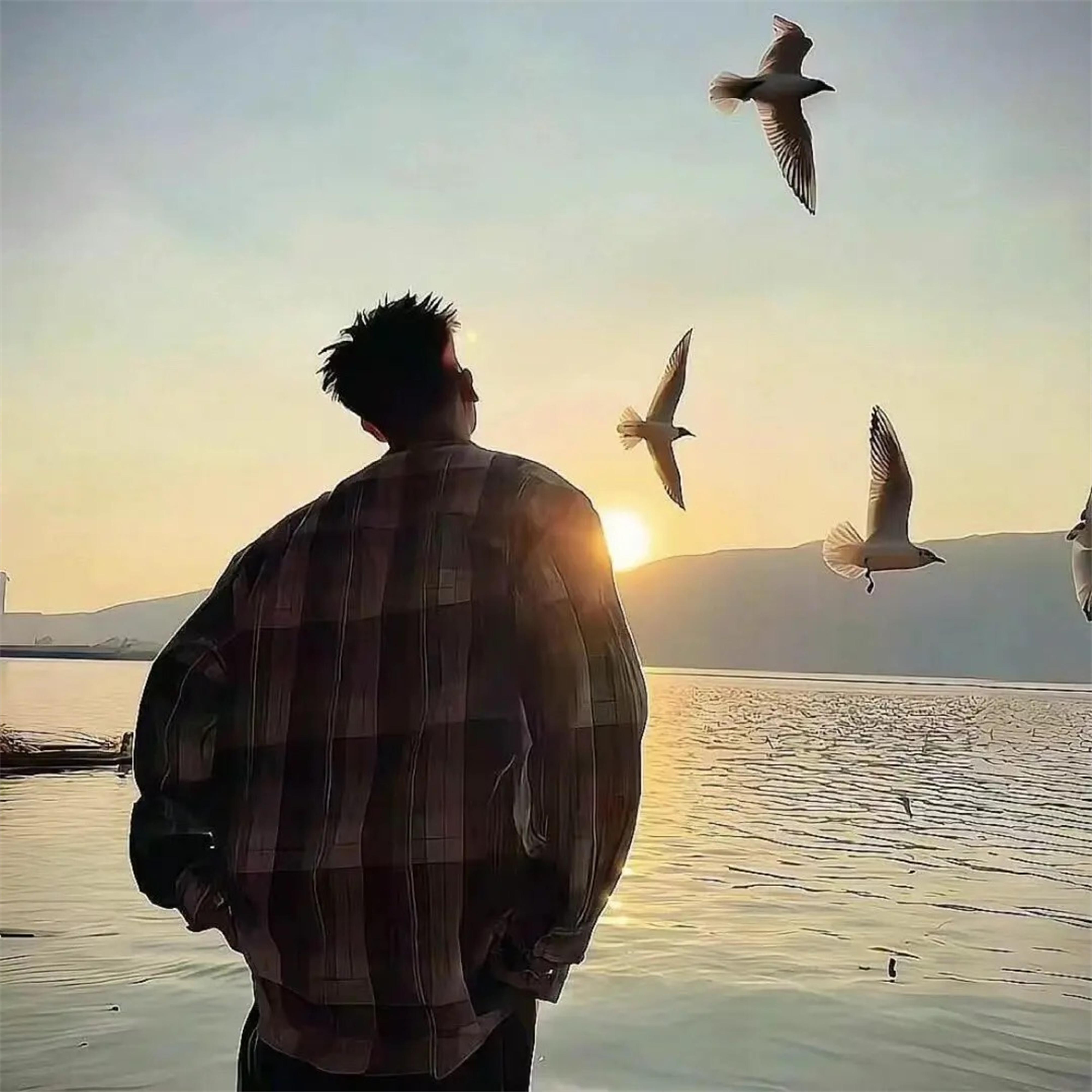 零碎的岛屿会找到海