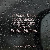 Sleep Baby Sleep - Viaje Espectral de Armonías