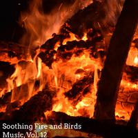 Soothing Fire and Birds Music, Vol. 12