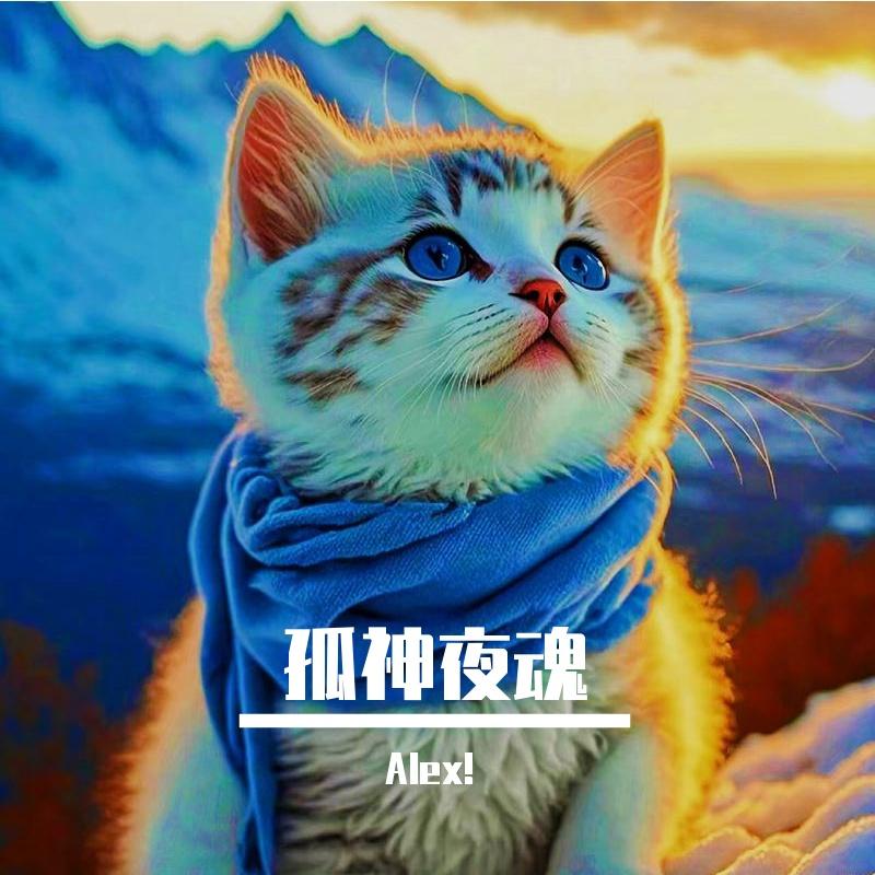 记忆碎片封面