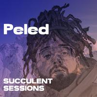 Live at Succulent Sessions