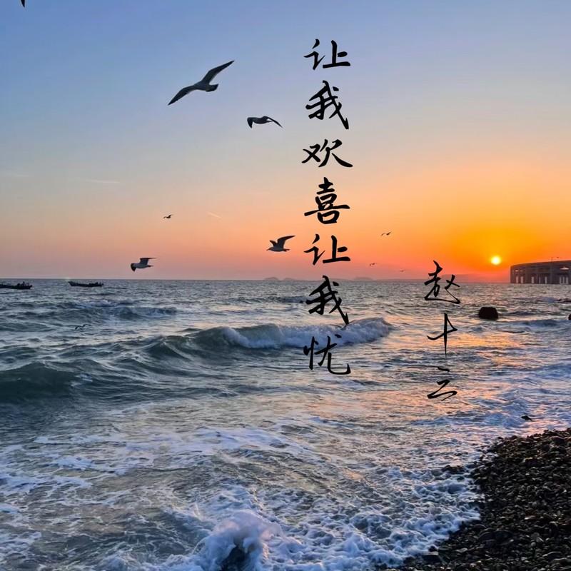 让我欢喜让我忧 (女声版)封面