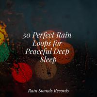 50 Perfect Rain Loops for Peaceful Deep Sleep