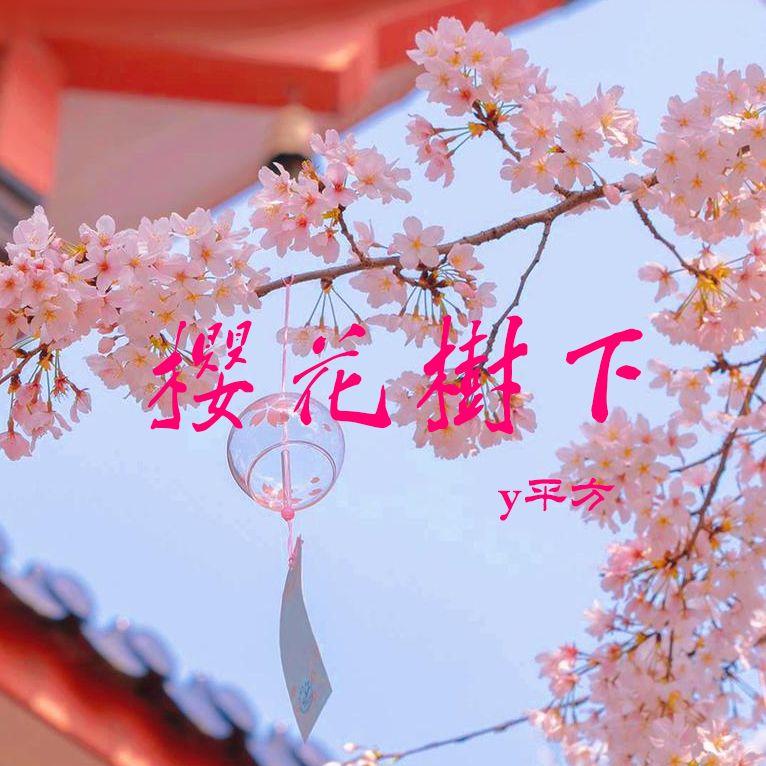 樱花树下 伴奏 - y平方封面