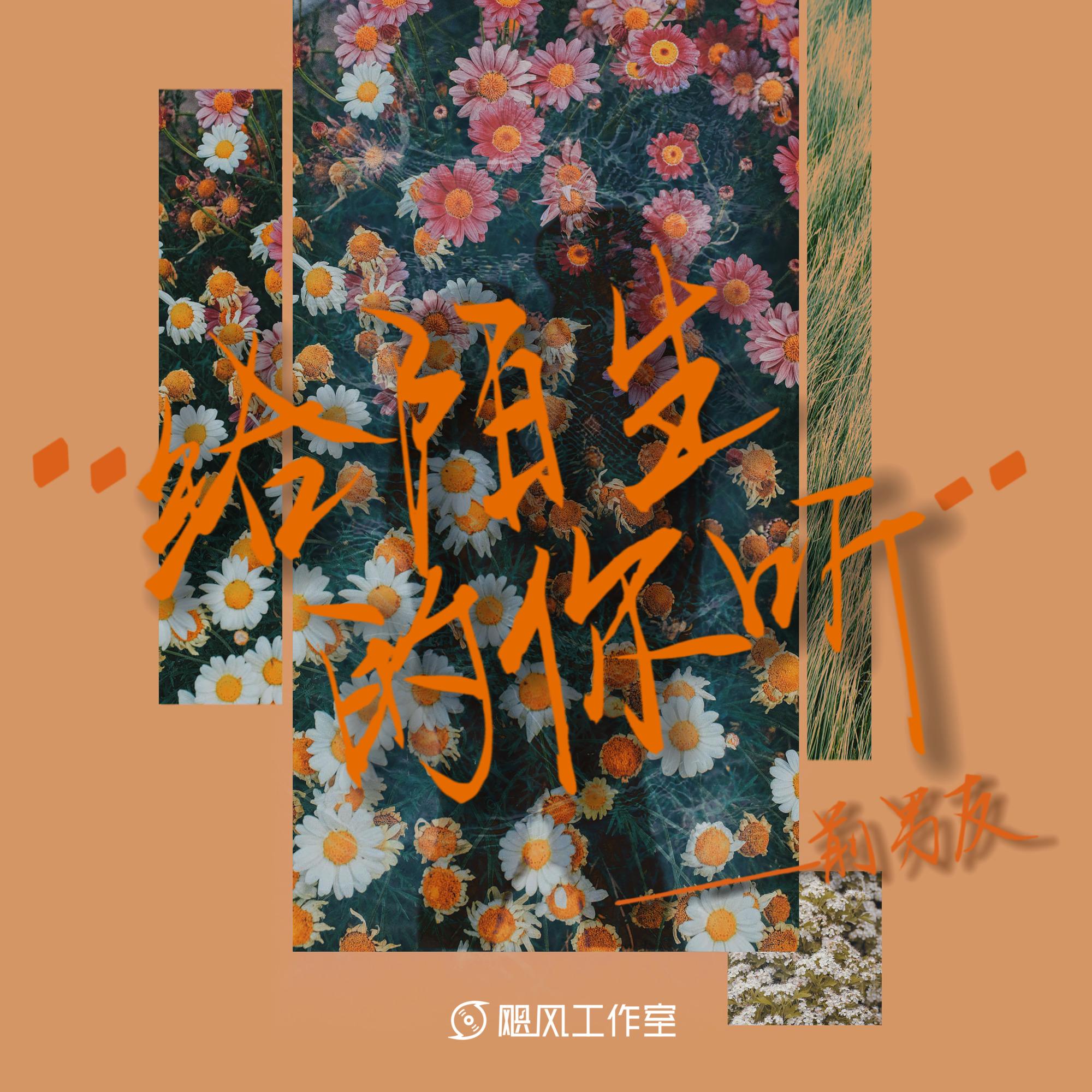 给陌生的你听封面