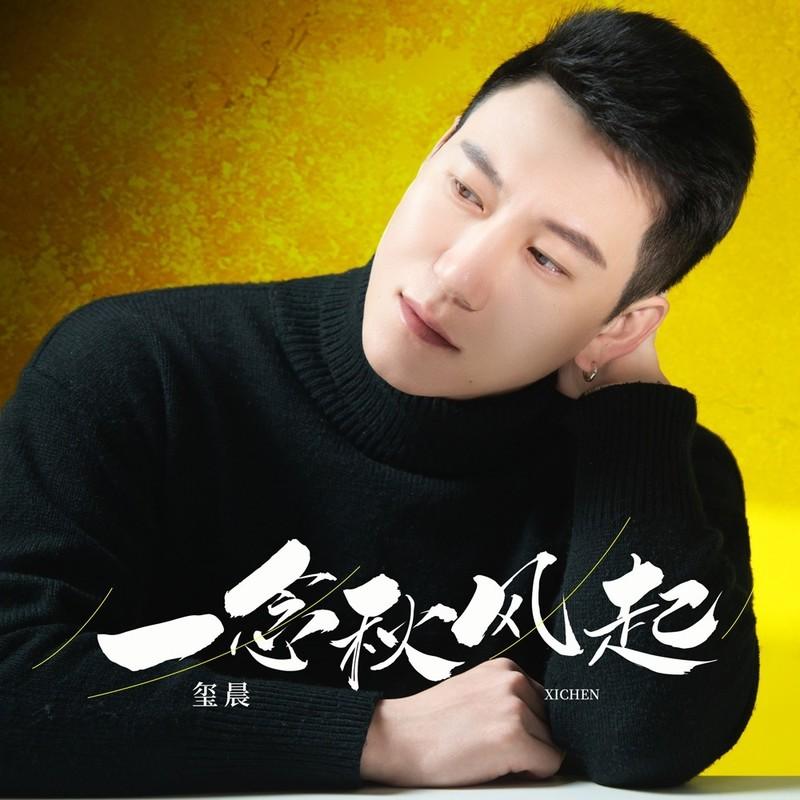 一念秋风起 (DJ九零版) - 玺晨封面