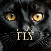 Housecat Fly