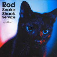 Rod Snake Shock Service