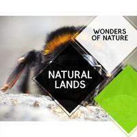 Natural Lands - Wonders of Nature