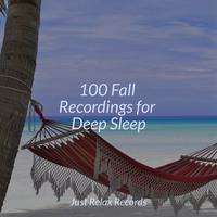 100 Fall Recordings for Deep Sleep