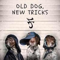 Old Dog, New Tricks (feat. Tek Luciano & Itz Midnite)