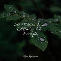50 Música Para El Salón de la Energía