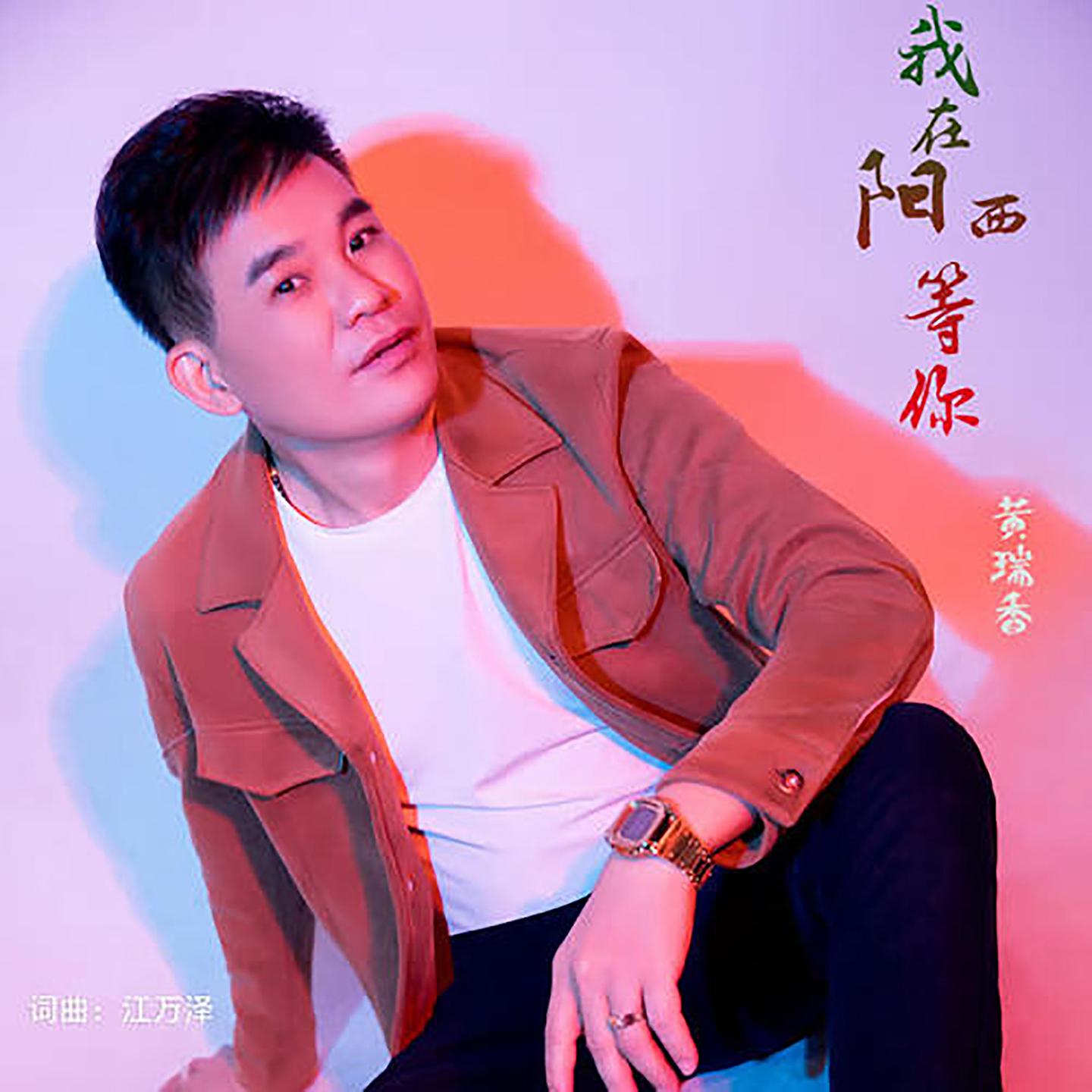我在阳西等你 (Dj版)封面