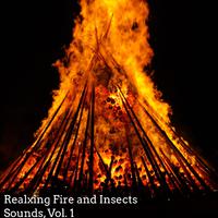 Realxing Fire and Insects Sounds, Vol. 1